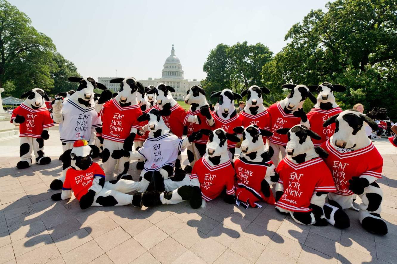 2011 – The Cows herd in Capitol Hill for Cow Appreciation Day